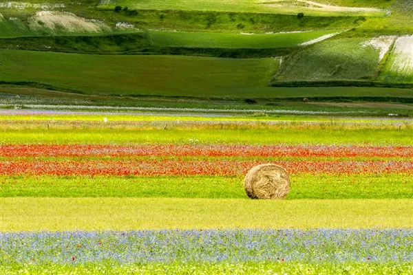 ENOGASTRONOMIA IN UMBRIA E LA FIORITURA DELLE LENTICCHIE