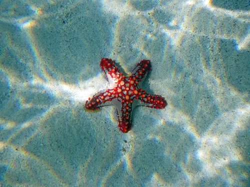 SOGGIORNO MARE IN KENYA